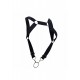DNGEON Straigh Back Harness