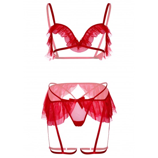 Bra, g-string and garter belt