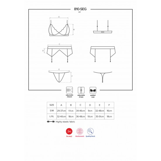 810 Bra, Garterbelt & Thong