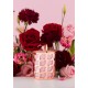 Massage Candle 820 gram Massage Candle 820 gram