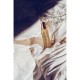 Dry Body Oil Spray 100ml