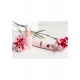 Minis Pleasure Coll. 3x10ml Minis Pleasure Coll. 3x10ml
