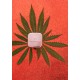 Sensual Lip Balm 7ml